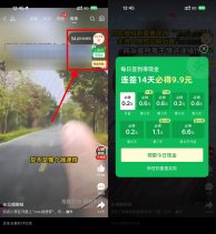 拼多多连续签到14天必得9.9亓