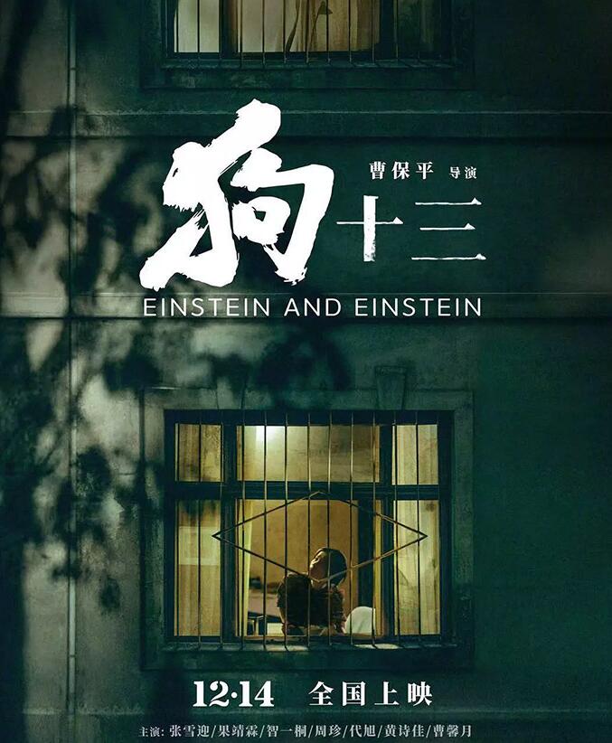 电影狗13泄露版高清在线观看-119下载站