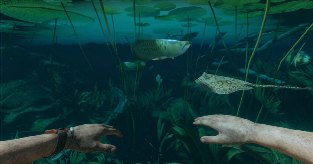 1596526914865752.jpg 6.jpg