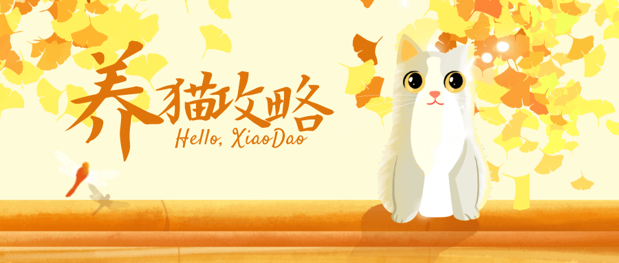 1608792306407845.png 1.png