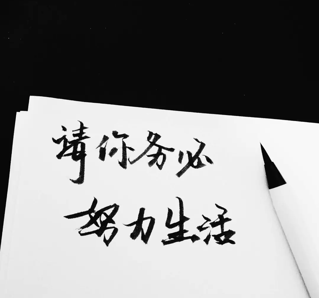 1609332570743760.png 8742fe4d642465c6cd39148822c0d344.png