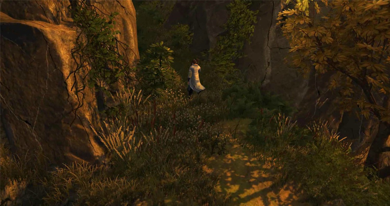 1609473225138482.jpg 5.jpg