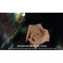 歌曲分享：little star