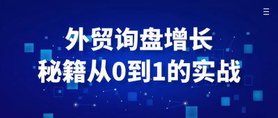 外贸询盘增长秘籍从0到1的实战