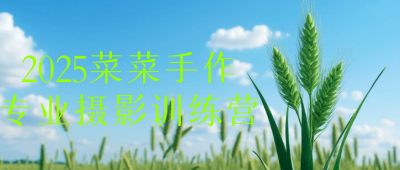 2025菜菜手作专业摄影训练营