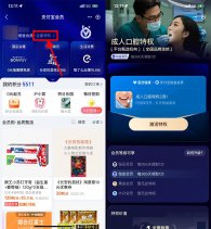 支付宝铂金钻石会员免费洗牙