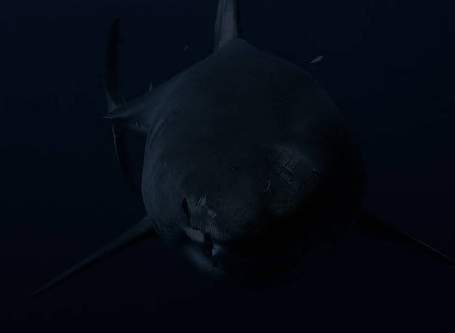 2025美国恐怖《恐鲨》